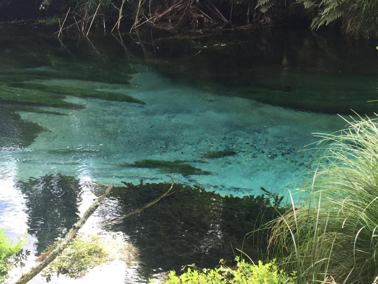 Super Lake Edge Lodge Ροτόρυα Εξωτερικό φωτογραφία